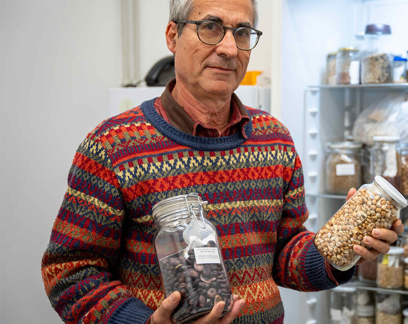 Toni Arrizabalaga Blanch